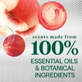 thumbnail image 6 of Seventh Generation Power+ Foaming Dish Soap Spray, Honey Crisp Apple Scent, 16 fl oz, 6 of 11