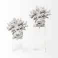 thumbnail image 2 of Mercana Isla Large Replica Coastal Coral Decorative Object 68927, 2 of 8