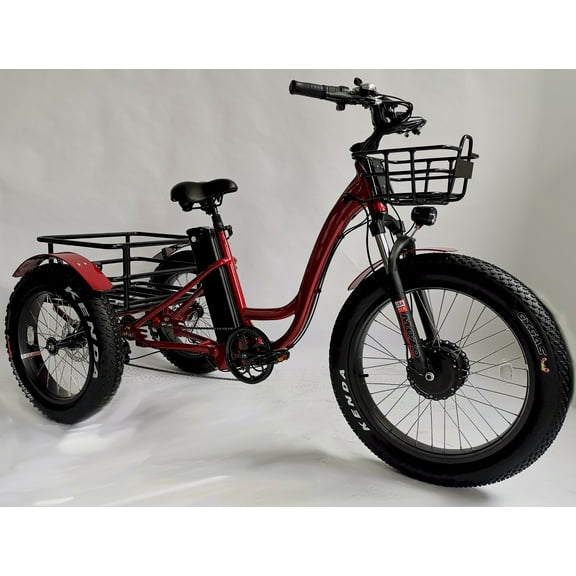 Mobility4less 750W 48V Hybrid Bicycle with Lithium Rechargeable Battery, Oversize Rear Cargo