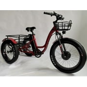 FT-1900X Fat Tire Electric Tricycle