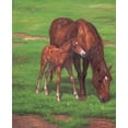 thumbnail image 2 of Bizon, Vladimir 20x24 White Modern Wood Framed Museum Art Print Titled - Mare with Foal, 2 of 4