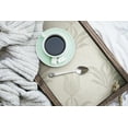 thumbnail image 4 of Jen Hewett Parrot Tulip Grey Peel & Stick Wallpaper, 4 of 4