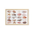 thumbnail image 1 of Seashells Wall Art with Frame, Seashell Pattern Scallop Nautilus Mollusk Summer Holiday Destinations Marine, Printed Fabric Poster for Bathroom Living Room, 35" x 23", Multicolor, by Ambesonne, 1 of 2