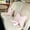 Pink, variant on Soft Furry Bow Throw Pillow Cushion for Sofa Bed and Living Room - Decorative Bowknot Lumbar Pillow for Home Décor with Soft Polyester Material