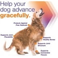 Virbac MOVOFLEX Advanced Dog Joint Support, Large Dogs Chewable Relief
