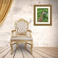 thumbnail image 3 of Underdahl, Dana 26x32 Gold Ornate Wood Framed with Double Matting Museum Art Print Titled - Giraffe II, 3 of 4