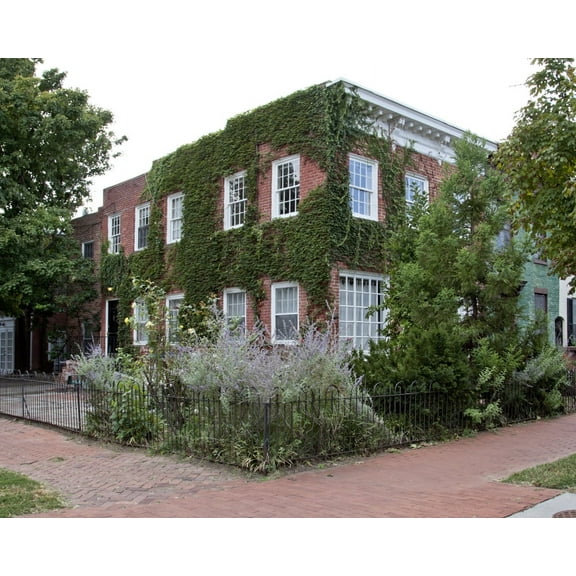 Print: Row Houses, 5th St. And Independence Ave., SE, Washington, D.C.