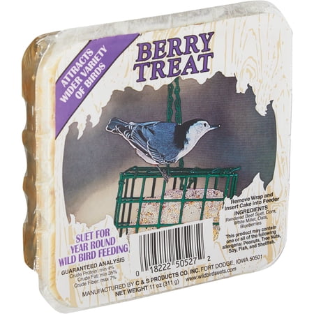 C & S Products C&S Treat Wild Bird Suet - Pack of 6