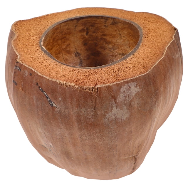 Shisuyan MultiFunction Coconuts Shell Bowl with Unique Pattern for Home Use and Storage Light Brown