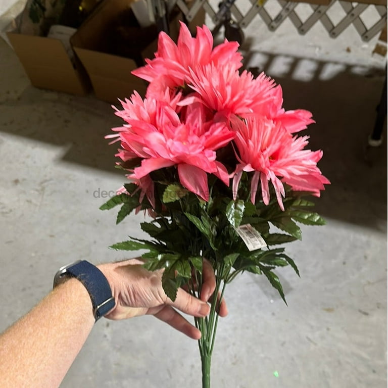Dahlia/Daily Mix - Sal/Mx 45636 - Walmart.com Dahlia/Daily Mix - Sal/Mx 45636 - Walmart.com