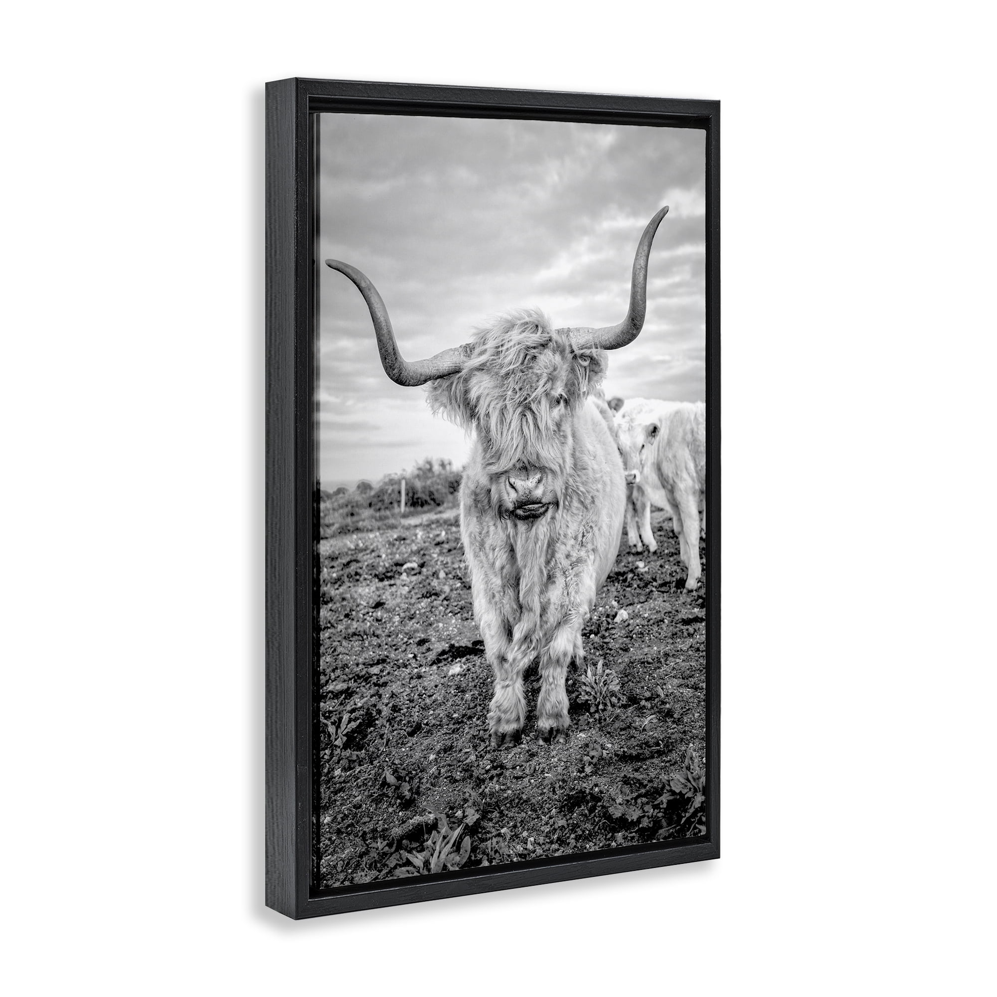 Stupell Industries Longhorn Calf Family Animals & Insects Photography Black Floater Framed Canvas Art Print Wall Art, 17 x 25