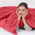 thumbnail image 5 of TRUSTWARMTH Electric Throw Blanket 50" x 60" with 5 Heating Levels and 4 Hours Auto off Double Sherpa, Pink, 5 of 7