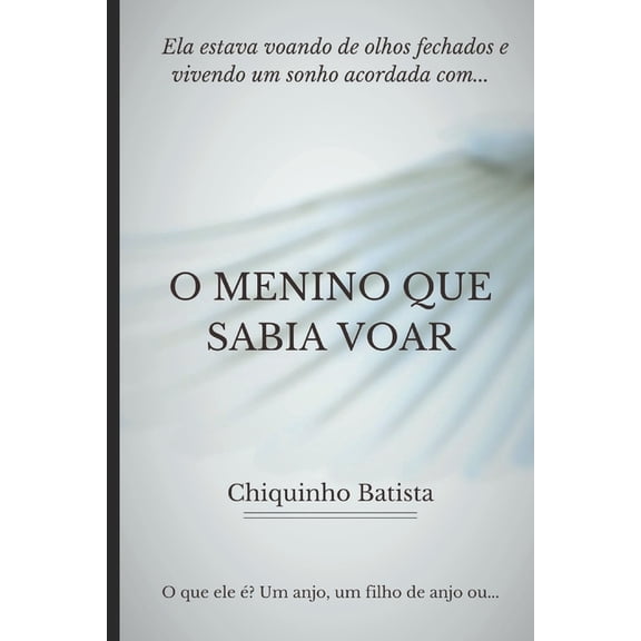 O Menino Que Sabia Voar (Paperback)