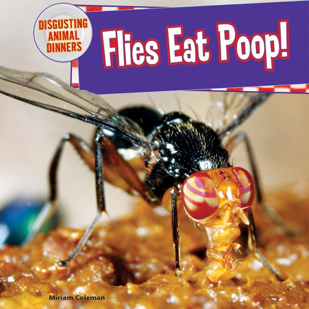 Disgusting Animal Dinners Flies Eat Poop! (Hardcover)