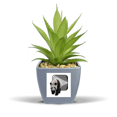 thumbnail image 1 of Panda Tunnel Marche Espace Faux Pot de Fleurs Ananas Vase Mini Décor, 1 of 3