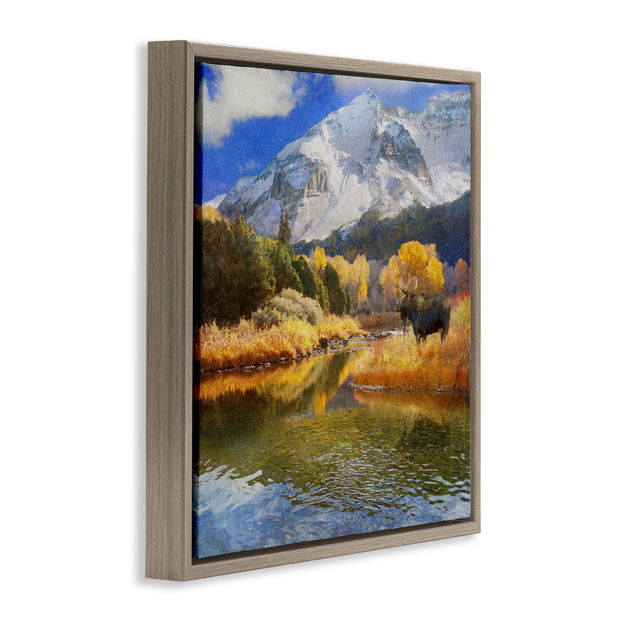 Stupell Industries Moose on Dolores River Landscape & Nature Photography Brown Floater Framed Canvas Art Print Wall Art, 25 x 25