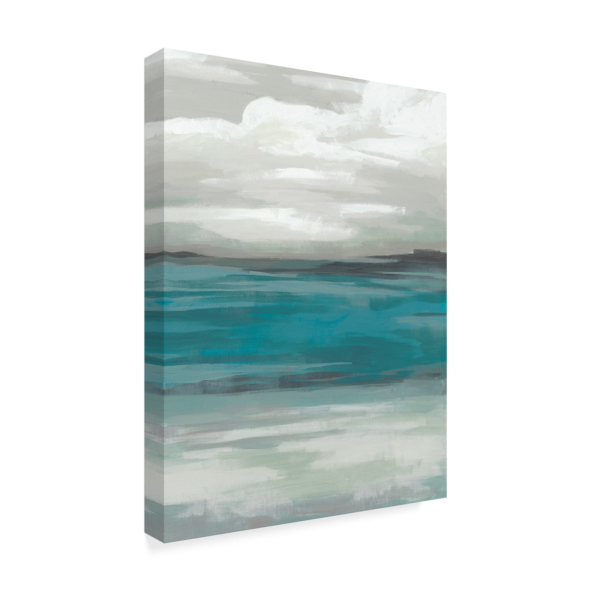 Storm Front I' Canvas Art by June Erica Vess