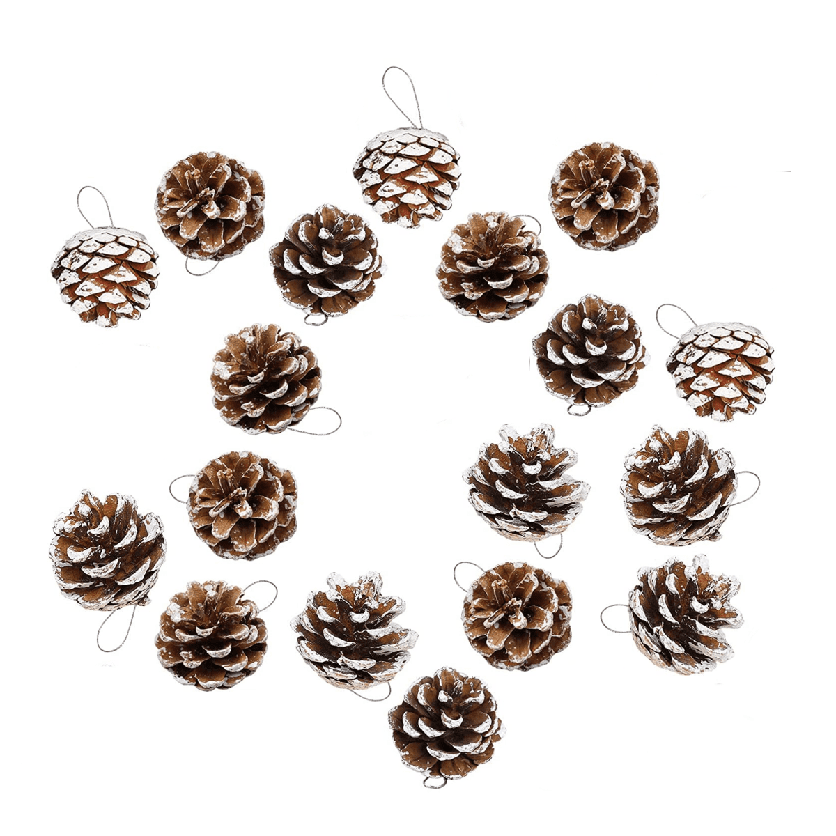 Casewin 18 Pieces Pine Cones for Christmas Tree White Christmas Pine Cones  Ornaments Pine Cones Decorations Frosted Mini Pine Cones Xmas Pinecones  with String Pendant Crafts for Farmhouse Winter Party 