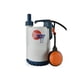thumbnail image 1 of BOMBA SUMERGIBLE PARA AGUA LIMPIA PEDROLLO 0.33HP 160 L/MIN 115 VOLTS, 1 of 5