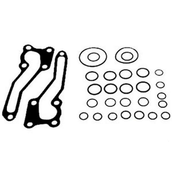 RAParts O-Ring Kit with Gaskets - Fits Massey Ferguson - 1810684M92