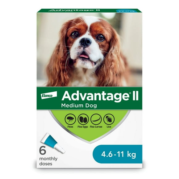 Advantage II Flea Treatment for Medium Dogs
