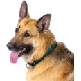 thumbnail image 3 of Laicaiw-collier pour Chien en Nylon Robuste Vert Martingale-21 Options de Couleurs Vibrantes (Largeur 3/4 Pouce, Petit), 3 of 7
