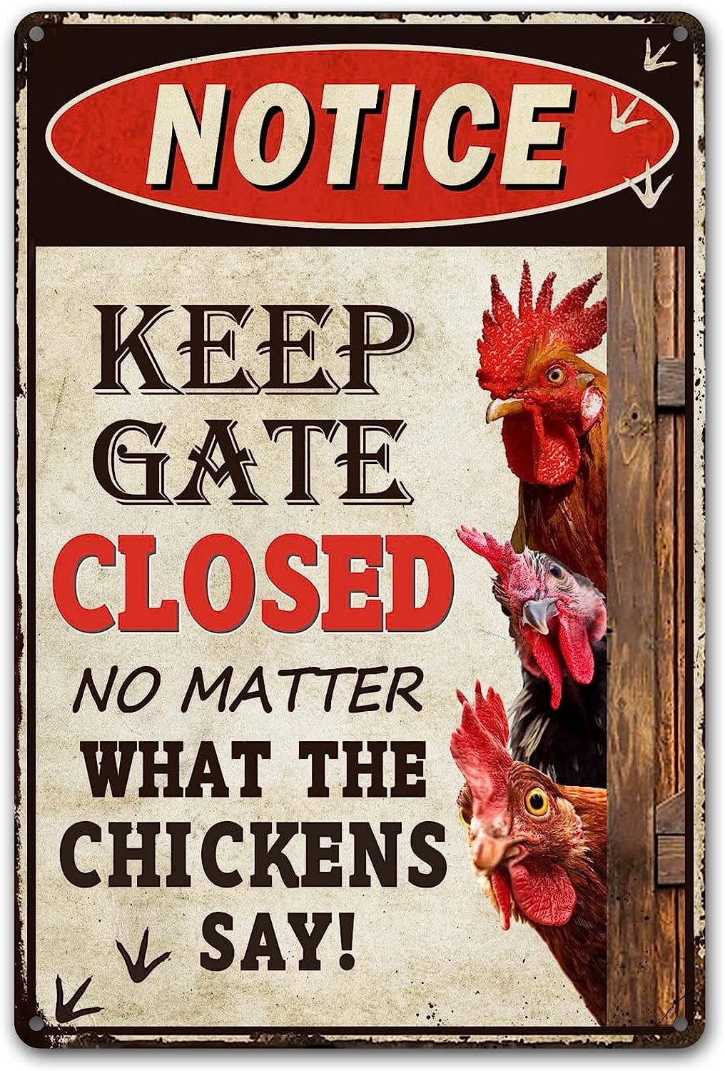 To Our Coop We Are All Cluckin Crazy Funny Chicken Sign Chicken Coop Sign Chicken Decor