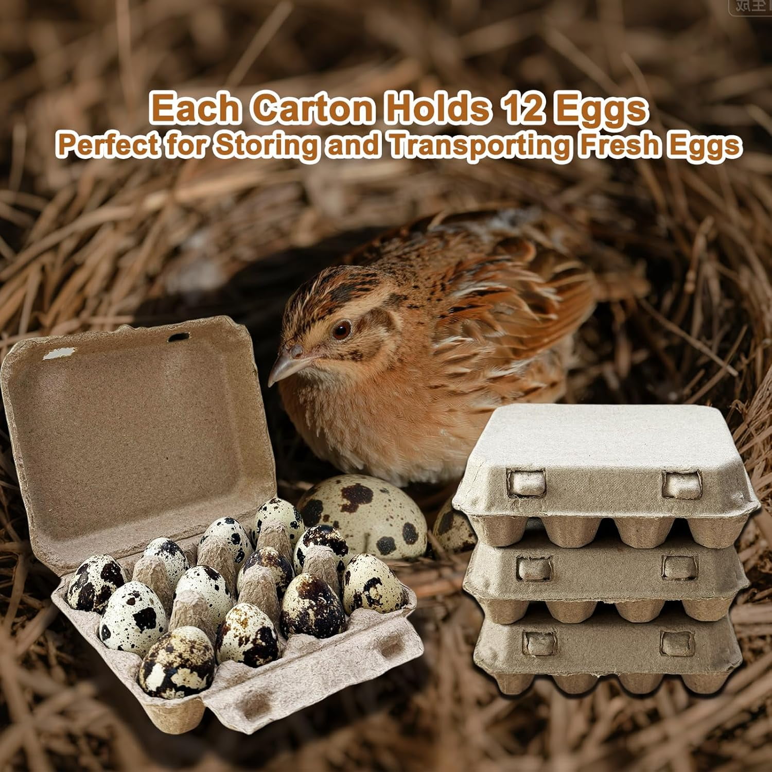 Natural Pulp Paper 1 Dozen Quail  Egg Cartons, Reusable, 20 Pack, Box for Refrigerator Small Pheasant Pigeon Egges