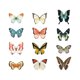 thumbnail image 1 of 24 pegatinas anticolisión para ventanas de mariposas anchas, pegatinas para ventanas, pegatinas antipájaros a prueba de polvo para evitar golpes de pájaros en puertas y ventanas, 1 of 5
