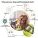thumbnail image 5 of Juguete para mascotas con vaso, bola automática de alimentación lenta para mascotas, juguete para perros y gatos para aumentar el coeficiente intelectual interactivo, golosina ajustable para, 5 of 5