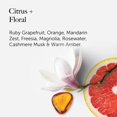 thumbnail image 3 of Aceite Perfumado Pure Instinct CRUSH Feromonas 15 ml, 3 of 8