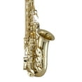 thumbnail image 3 of Prelude by Selmer PAS111 Student Alto Saxophone Outfit, 3 of 6