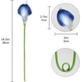 thumbnail image 3 of Blue Fake Calla Lily Flowers Real Touch Blue Calla Lily Faux Flowers Arrangement Bouquet for Home Garden Office Party Wedding Bouquet Centerpieces Flower Home Decoration (Blue), 3 of 5