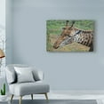 thumbnail image 3 of Trademark Fine Art 'Looking Around Giraffe' Canvas Art by Luis Aguirre, 3 of 3