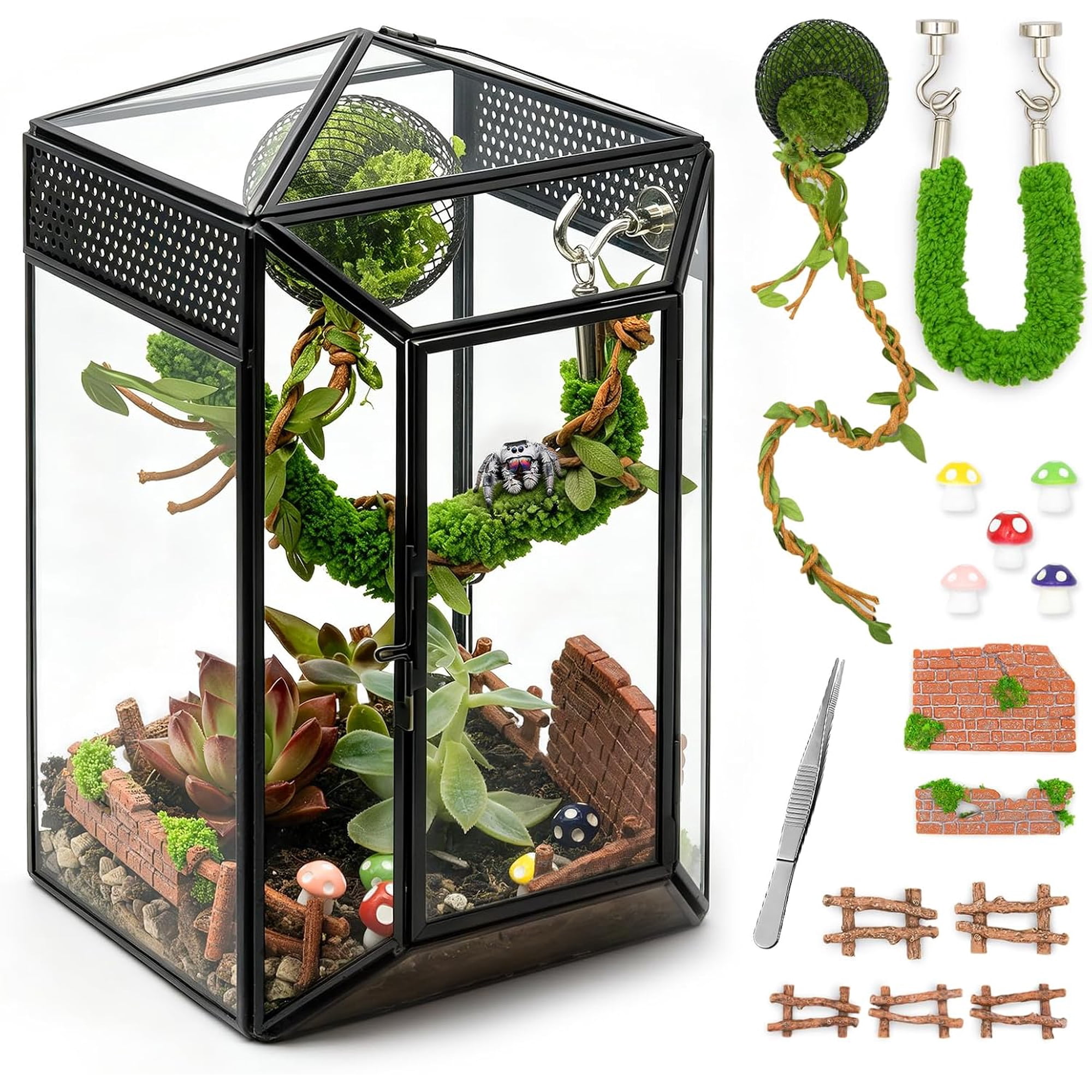 Gothic Glass Jumping Spider Enclosure Kit 8 x5 x5 Terrarium for Baby Spiders & Arboreal Tarantulas All-in-One Habitat w/Accessories