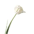 thumbnail image 1 of 1Pc Artificial Flower 68cm 3D Parrot Tulip Real Touch Fake Flower Decor for Home White, 1 of 6
