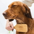 thumbnail image 6 of Doggy Style Small Bamboo Dog Brush for Small Breeds, Sustainable Bamboo Pin Bristles, Ergonomic Handle, Deshedding and Detangling Grooming Brush, 6 of 8