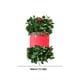 thumbnail image 3 of Guirnalda navideña de bayas rojas y hierba verde | Tiras festivas de ratán para árbol de Navidad, repisa de chimenea, centro de mesa | Decoración navideña para el hogar y el ambiente interior, 3 of 6