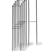 Super Hoop Bases Set of 6