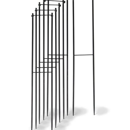 Super Hoop Bases Set of 6