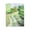 Countryside Pathway Serenity Landscape, variant on Stupell Industries The Secret Grove Black Framed Floater Canvas Wall Art, design by Svetlana Aleynikova