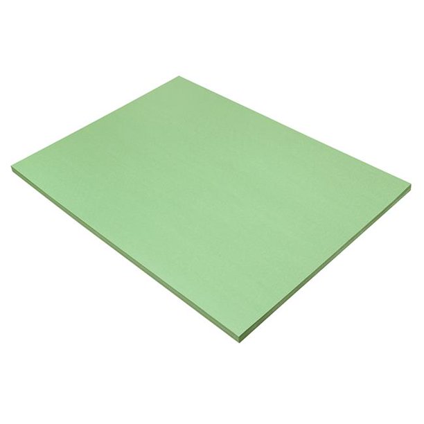 Dixon Ticonderoga PAC8117 18 x 24 in. Construction Paper, Light Green