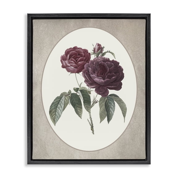 Vintage Blooms within Oval Black Framed Floater Canvas Wall Art, design by Lettered and Lined