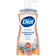 Dial foaming hand soap best sale 4 pack