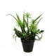 Northlight 10" Plante Succulente Artificielle en Pot Verte Mélangée – image 1 sur 2