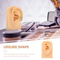 thumbnail image 4 of Weiweiguan Silicone Simulated Ear Model Ear Piercing Model Practice Teaching Prop, 4 of 6