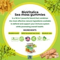 thumbnail image 6 of Irish Sea Moss Gummies with Burdock root + Bladderwrack - Wildcrafted Sea Moss Raw Organic gummy with Sea moss Gel & Powder - Seamoss gummies Vegan - Dr sebi sea moss Diet - Immunity & Detox, Energy, 6 of 6