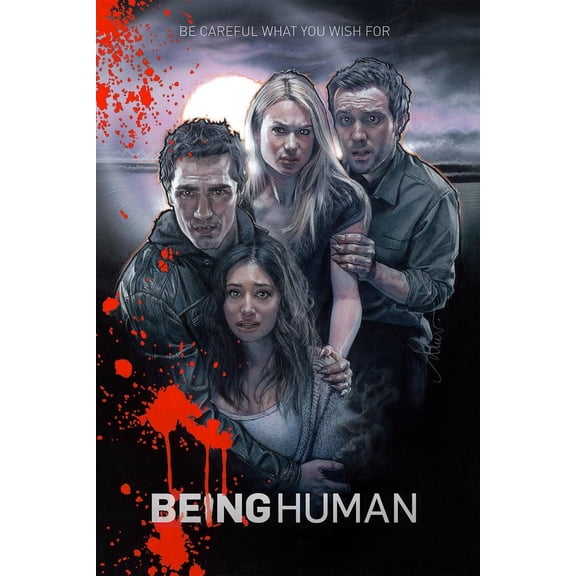 Being Human US Season 1 to 4 Complete DVD
