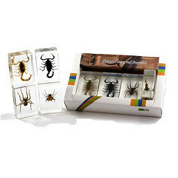 Ed Speldy East PWC441 Collection de Poids en Papier avec Véritable Scorpion et Araignée en Acrylique