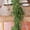 Cryptomeria Pine with Light, variant on Guvpev 6FT Christmas Garland with String Lights, Real Touch Winter Norfolk Pine Garland, Green Artificial Cryptomeria Greenery Garland for Mantel, Table, Porch, Indoor, Outdoor Christmas Decorations